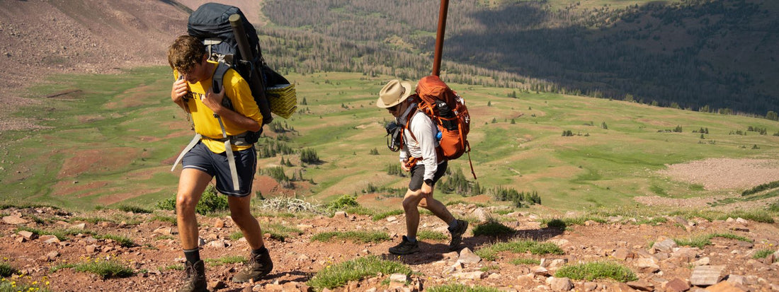 Two hikers with backpacks on a mountain trail